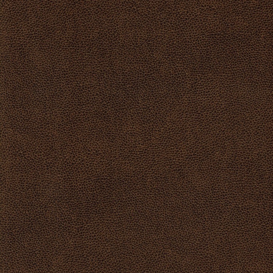 Alamo Hazelnut Swatch