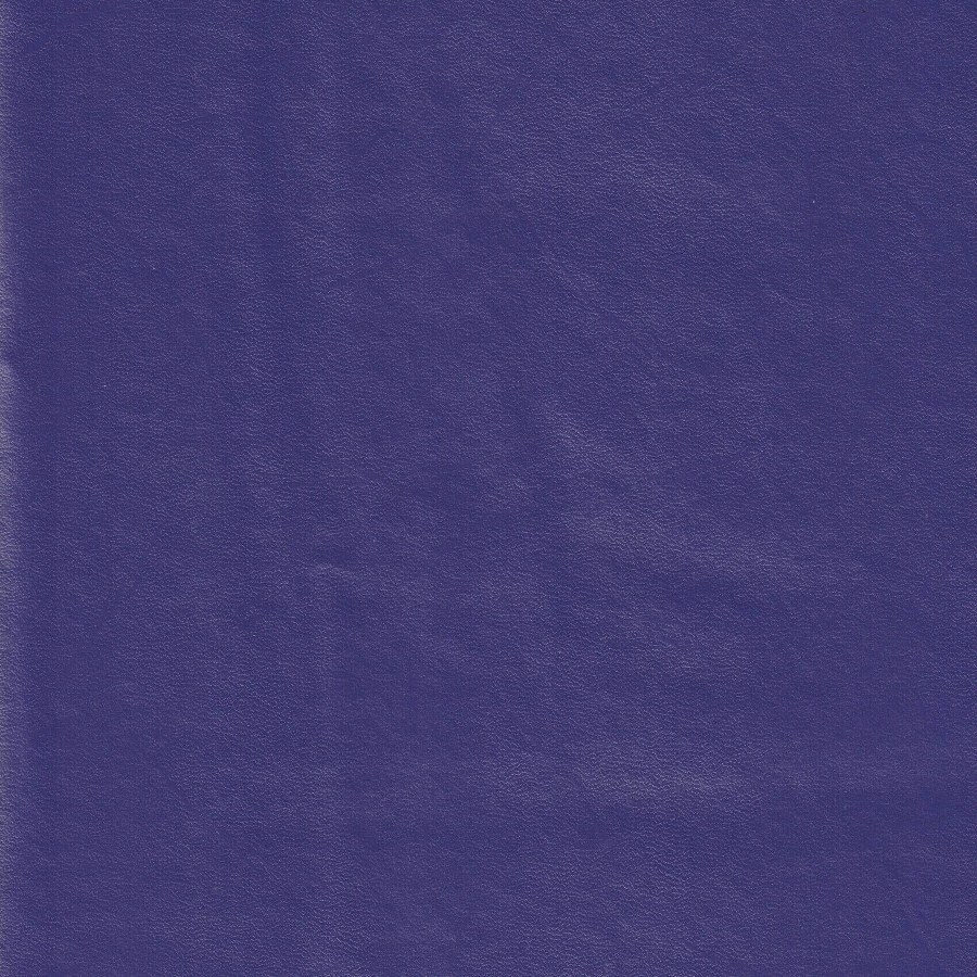 Astro Violet Swatch