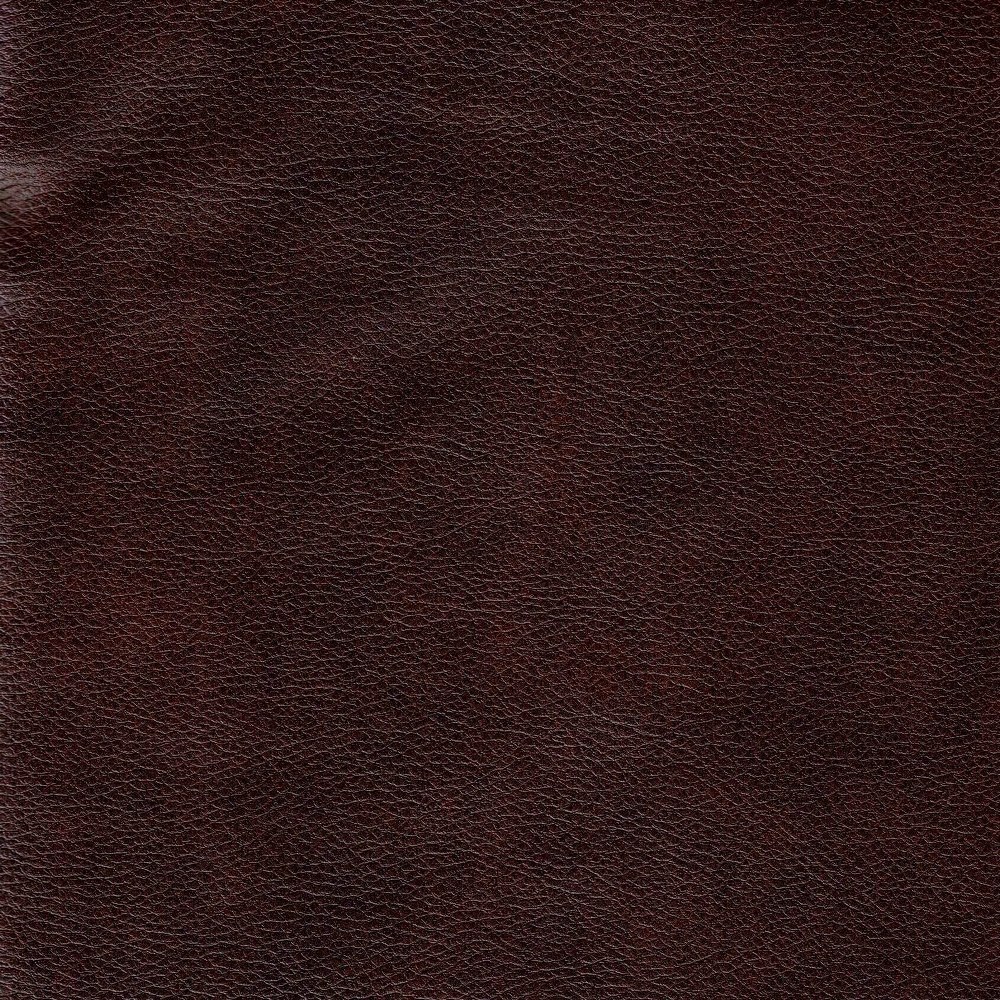 Colorado Chocolate Swatch