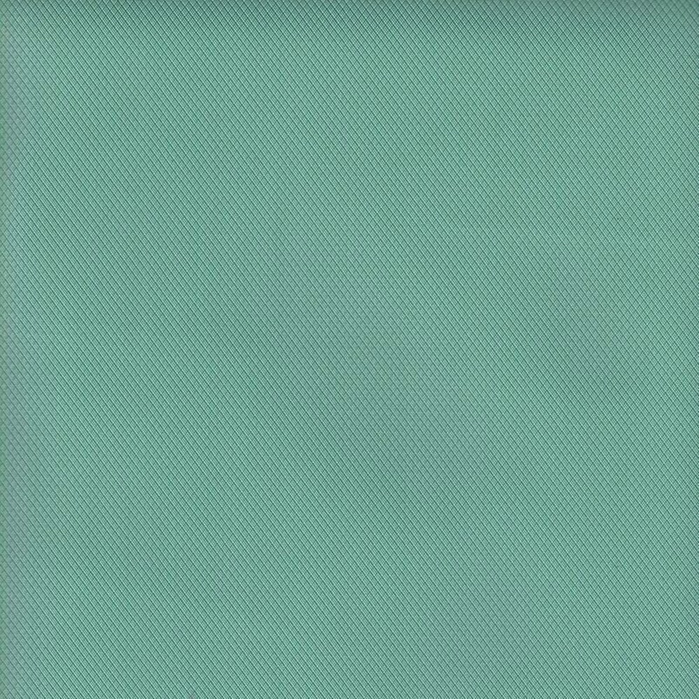 Edge Aqua Swatch