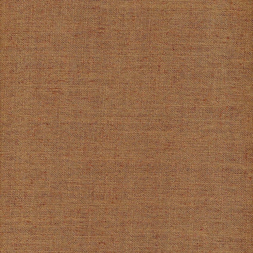 Sensu Shitake